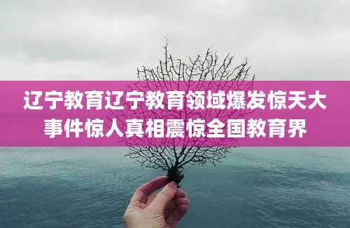 辽宁教育辽宁教育领域爆发惊天大事件惊人真相震惊全国教育界