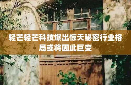 轻芒轻芒科技爆出惊天秘密行业格局或将因此巨变