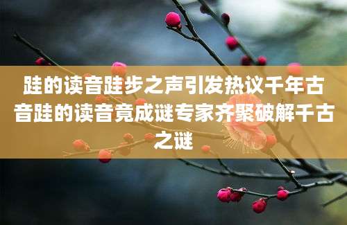 跬的读音跬步之声引发热议千年古音跬的读音竟成谜专家齐聚破解千古之谜