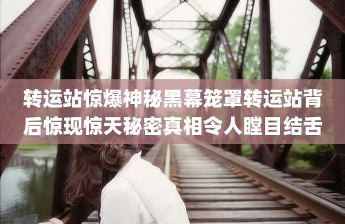 转运站惊爆神秘黑幕笼罩转运站背后惊现惊天秘密真相令人瞠目结舌