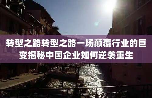 转型之路转型之路一场颠覆行业的巨变揭秘中国企业如何逆袭重生