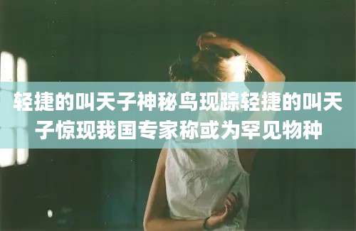 轻捷的叫天子神秘鸟现踪轻捷的叫天子惊现我国专家称或为罕见物种
