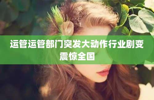 运管运管部门突发大动作行业剧变震惊全国
