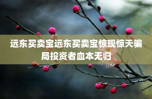 远东买卖宝远东买卖宝惊现惊天骗局投资者血本无归