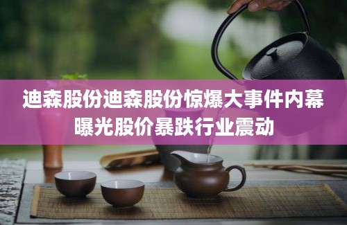 迪森股份迪森股份惊爆大事件内幕曝光股价暴跌行业震动