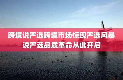 跨境说严选跨境市场惊现严选风暴说严选品质革命从此开启