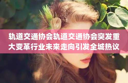 轨道交通协会轨道交通协会突发重大变革行业未来走向引发全城热议