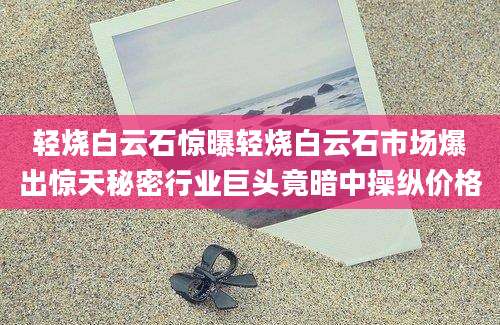 轻烧白云石惊曝轻烧白云石市场爆出惊天秘密行业巨头竟暗中操纵价格