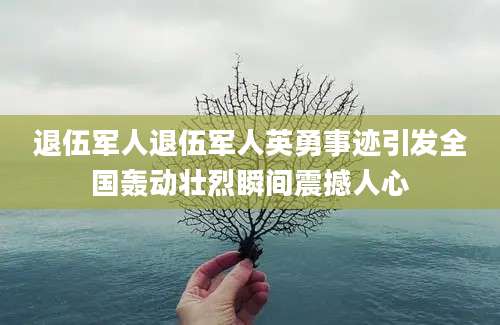 退伍军人退伍军人英勇事迹引发全国轰动壮烈瞬间震撼人心