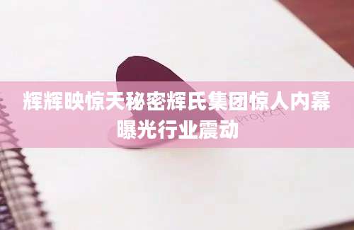 辉辉映惊天秘密辉氏集团惊人内幕曝光行业震动