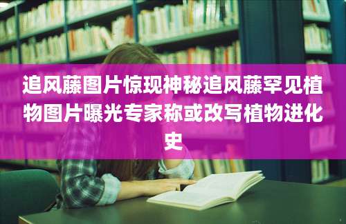 追风藤图片惊现神秘追风藤罕见植物图片曝光专家称或改写植物进化史