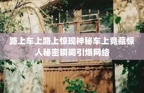 路上车上路上惊现神秘车上竟藏惊人秘密瞬间引爆网络