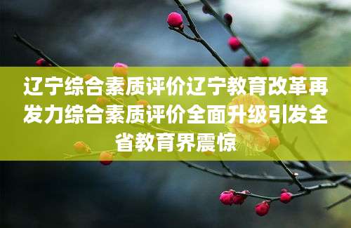 辽宁综合素质评价辽宁教育改革再发力综合素质评价全面升级引发全省教育界震惊