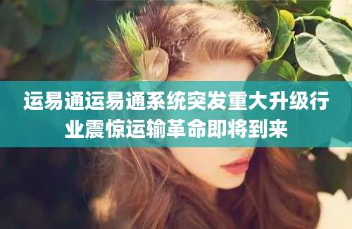 运易通运易通系统突发重大升级行业震惊运输革命即将到来