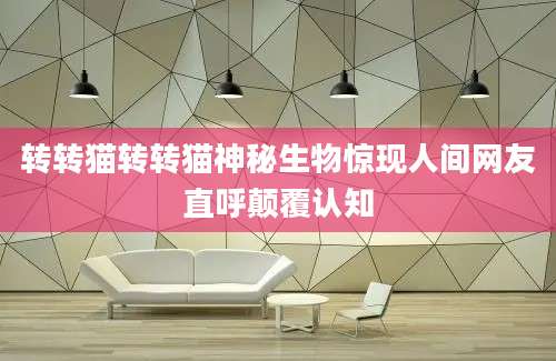转转猫转转猫神秘生物惊现人间网友直呼颠覆认知