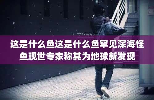 这是什么鱼这是什么鱼罕见深海怪鱼现世专家称其为地球新发现