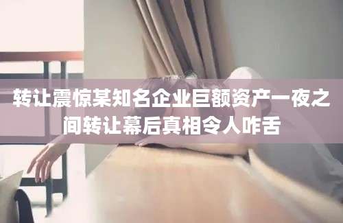 转让震惊某知名企业巨额资产一夜之间转让幕后真相令人咋舌