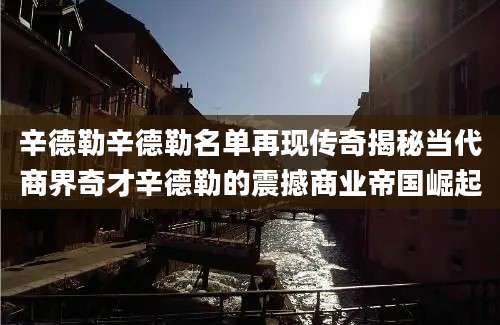 辛德勒辛德勒名单再现传奇揭秘当代商界奇才辛德勒的震撼商业帝国崛起