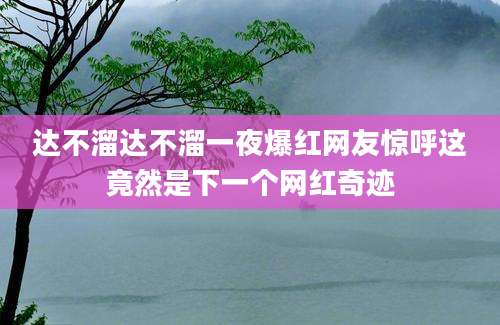 达不溜达不溜一夜爆红网友惊呼这竟然是下一个网红奇迹