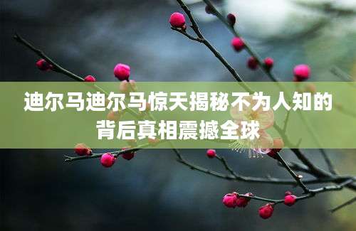 迪尔马迪尔马惊天揭秘不为人知的背后真相震撼全球