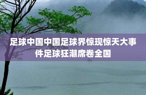 足球中国中国足球界惊现惊天大事件足球狂潮席卷全国