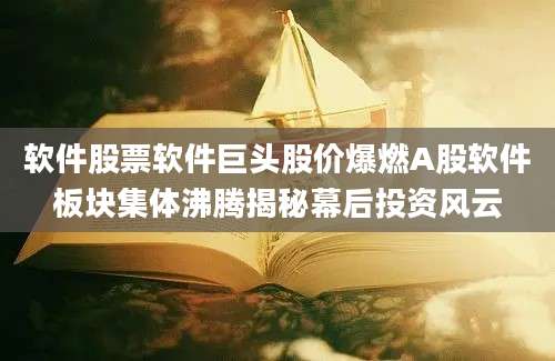 软件股票软件巨头股价爆燃A股软件板块集体沸腾揭秘幕后投资风云