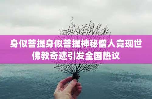 身似菩提身似菩提神秘僧人竟现世佛教奇迹引发全国热议
