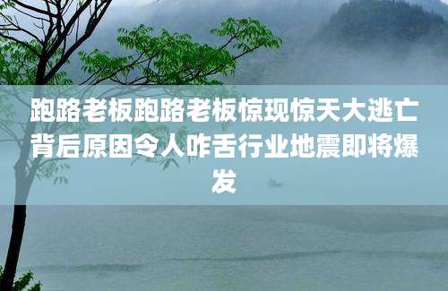 跑路老板跑路老板惊现惊天大逃亡背后原因令人咋舌行业地震即将爆发