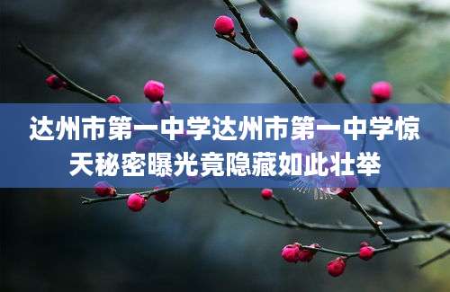 达州市第一中学达州市第一中学惊天秘密曝光竟隐藏如此壮举