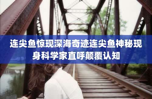 连尖鱼惊现深海奇迹连尖鱼神秘现身科学家直呼颠覆认知