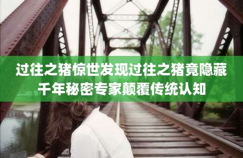 过往之猪惊世发现过往之猪竟隐藏千年秘密专家颠覆传统认知