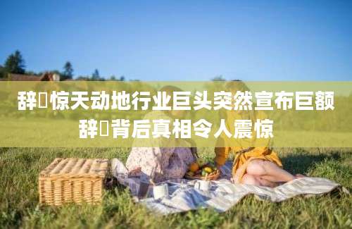 辞奺惊天动地行业巨头突然宣布巨额辞奺背后真相令人震惊