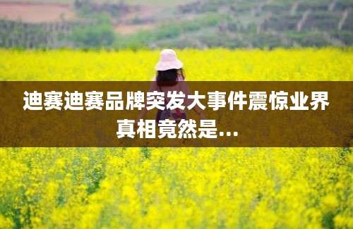 迪赛迪赛品牌突发大事件震惊业界真相竟然是...