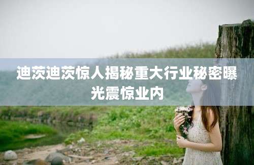 迪茨迪茨惊人揭秘重大行业秘密曝光震惊业内