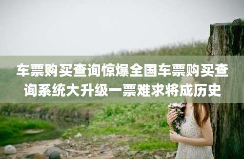 车票购买查询惊爆全国车票购买查询系统大升级一票难求将成历史