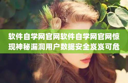 软件自学网官网软件自学网官网惊现神秘漏洞用户数据安全岌岌可危