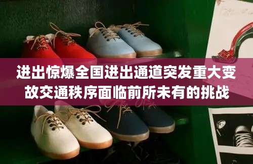 进出惊爆全国进出通道突发重大变故交通秩序面临前所未有的挑战