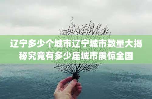 辽宁多少个城市辽宁城市数量大揭秘究竟有多少座城市震惊全国