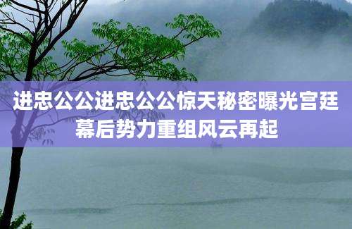 进忠公公进忠公公惊天秘密曝光宫廷幕后势力重组风云再起