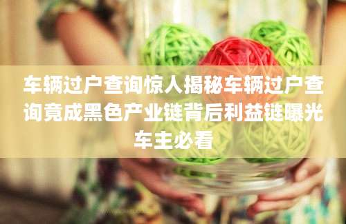 车辆过户查询惊人揭秘车辆过户查询竟成黑色产业链背后利益链曝光车主必看