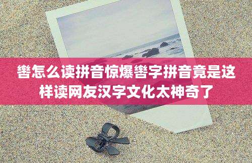 辔怎么读拼音惊爆辔字拼音竟是这样读网友汉字文化太神奇了