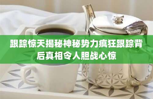 跟踪惊天揭秘神秘势力疯狂跟踪背后真相令人胆战心惊