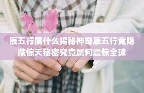 辰五行属什么揭秘神奇辰五行竟隐藏惊天秘密究竟属何震惊全球