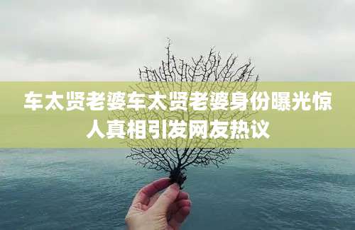 车太贤老婆车太贤老婆身份曝光惊人真相引发网友热议