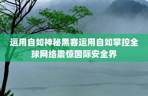 运用自如神秘黑客运用自如掌控全球网络震惊国际安全界