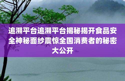 追溯平台追溯平台揭秘揭开食品安全神秘面纱震惊全国消费者的秘密大公开
