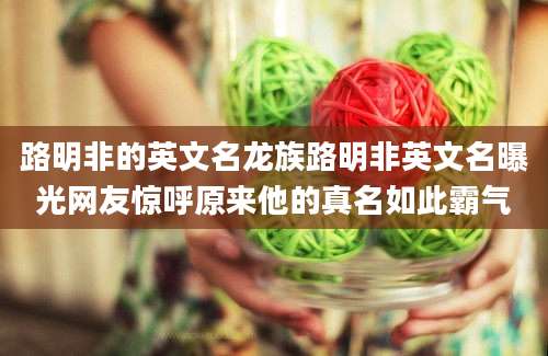 路明非的英文名龙族路明非英文名曝光网友惊呼原来他的真名如此霸气