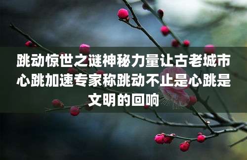 跳动惊世之谜神秘力量让古老城市心跳加速专家称跳动不止是心跳是文明的回响