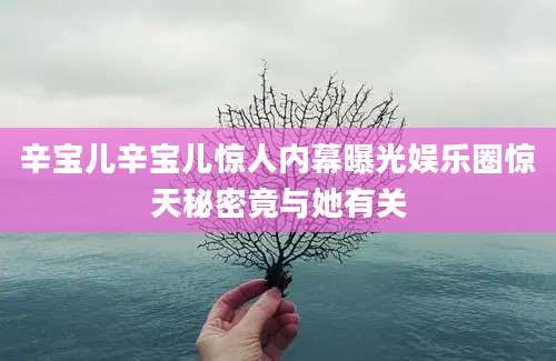 辛宝儿辛宝儿惊人内幕曝光娱乐圈惊天秘密竟与她有关