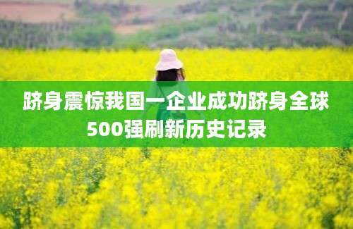 跻身震惊我国一企业成功跻身全球500强刷新历史记录